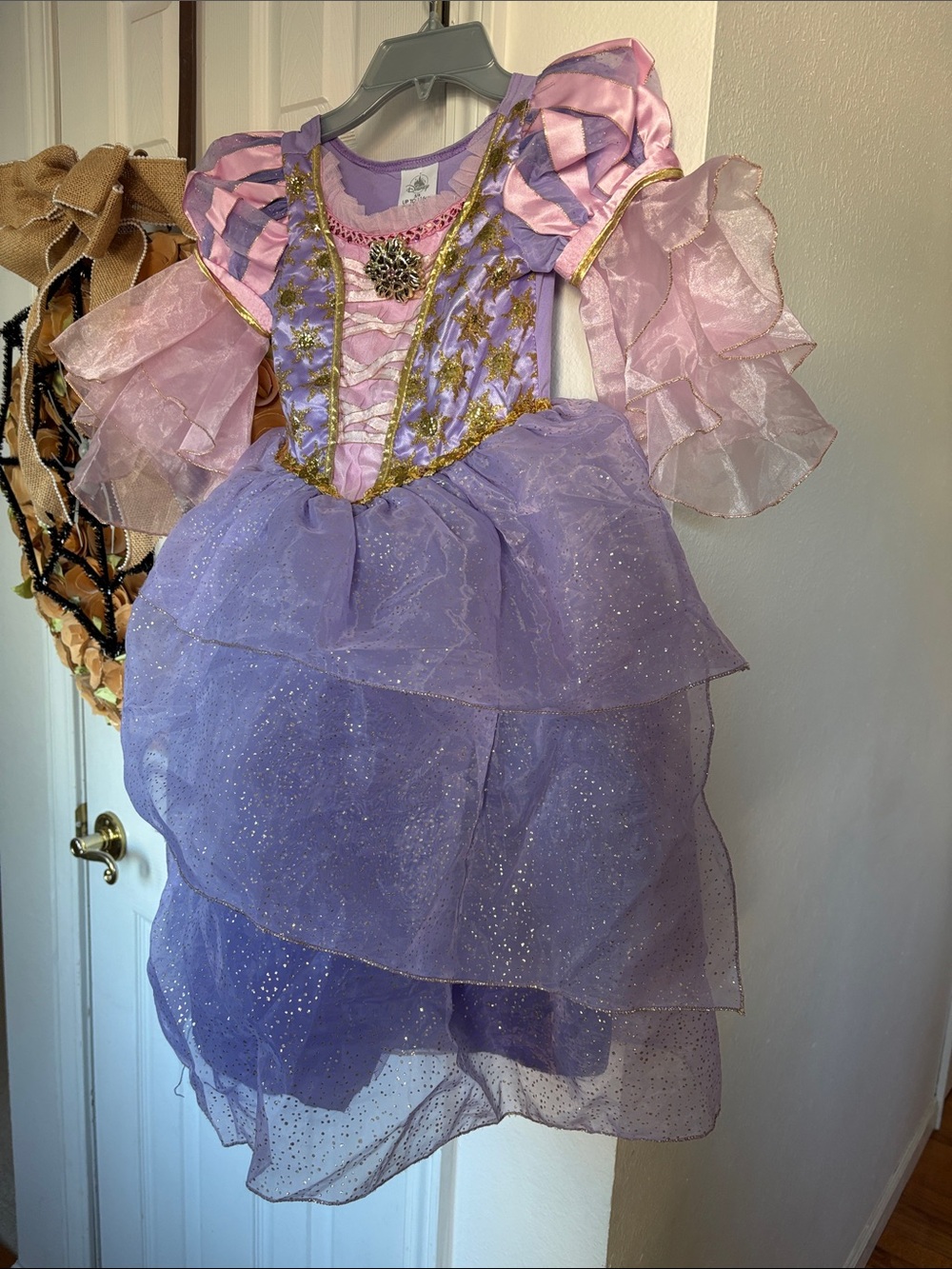 Disney Girl Princess Rapunzel Purple Dress Size 5/6